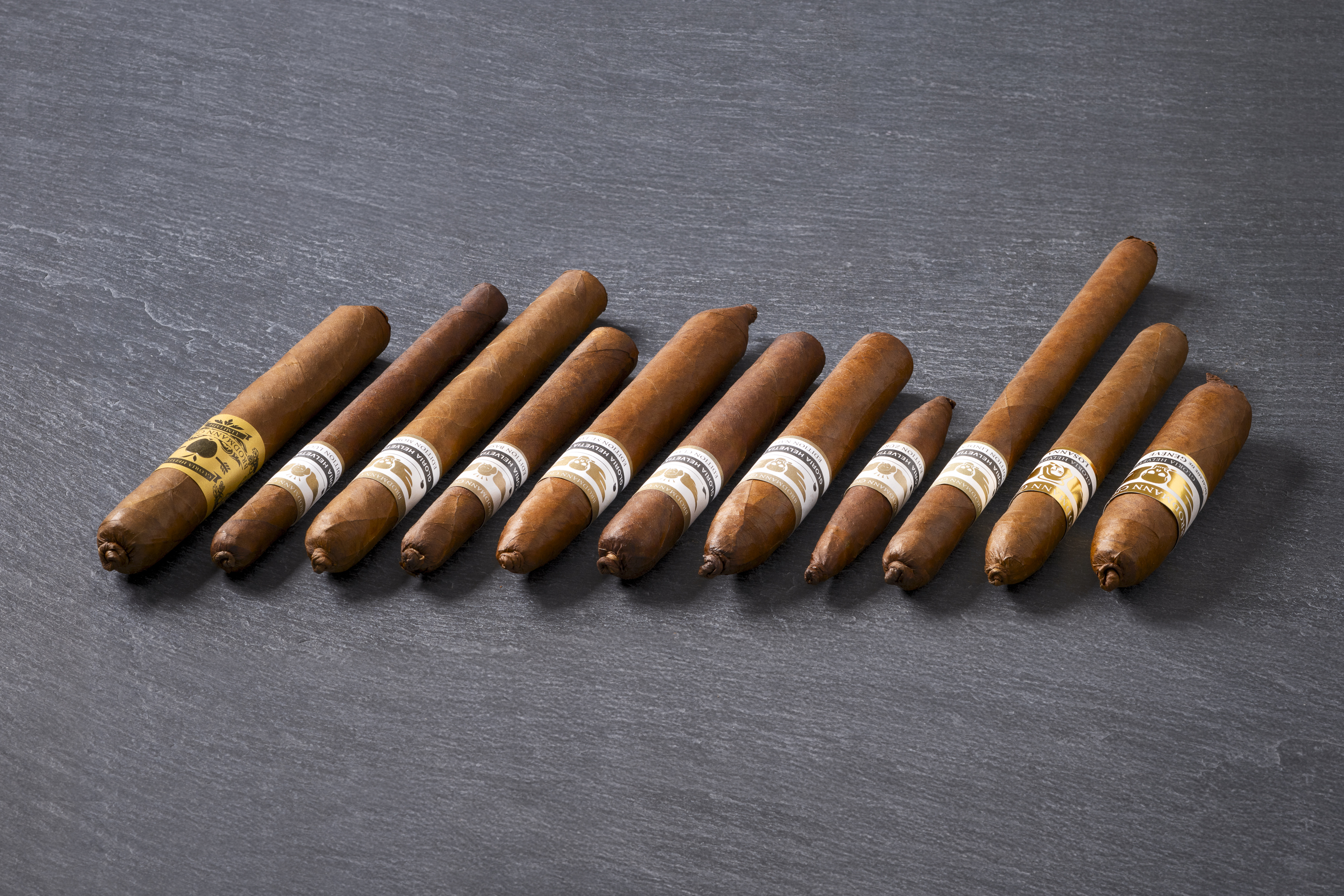 PALOMA ROMEO & FRIENDS GMBH